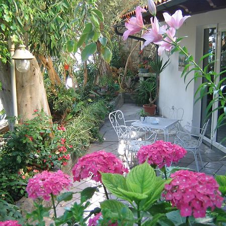 Hotel Europa Ischia Zewnętrze zdjęcie